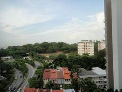 Cairnhill Crest (D9), Condominium #482280721